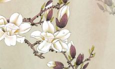 如何为女孩选取最佳老虎名字?