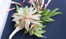 每个星座的女性，成为怎样的妻子？走近12星座太阳女神的婚姻秘密