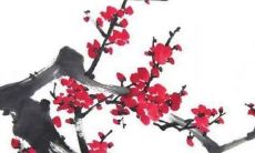 2022年，虎年男孩起名经验分享：以杨姓为基础的取名策略解析