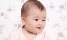 如何为你的树命名,让它在邻居中脱颖而出,成为你家门口最美丽的风景?