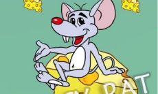 男性属龙，女性属鼠的恋爱关系中，他们的财务合作是否可行？或者说，两人之间的关系是否如此紧密，以至于谁都无法分离？