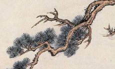 带阳台的卧室的风水是好还是不好？避免窗帘遮挡对于风水有什么影响？