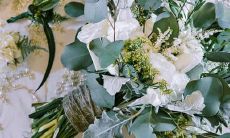 ——对自己容貌要求极高的十二星座女生排行榜