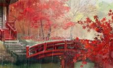 2022年虎年对于身为72年属鼠人的你，运势会有怎样的影响？