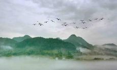 2022年属马的十二个月份运势详解：揭秘马儿们的整年好坏趋势