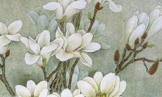 ，将给您带来新的生活变化和幸福成就！