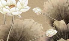 获取，揭秘2022年易经对事业运势的预测，提供免费测算祈福机会