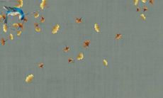 如果你是出生在属虎火命的人,考虑起一个好听且符合命理学的名字是什么?