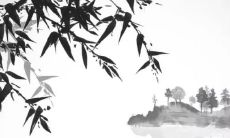 如何运用阳台风水来养乌龟，从而提升财运并达到财源滚滚的境界？