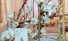 探秘水瓶座如何维系友情？必备的求生技能和绝妙策略大揭秘！