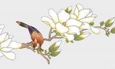 预测：属猴男性1992年出生，2022年30岁，每月详细运势及运程分析