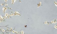 哪个星座的人最喜欢从事同性恋性行为？