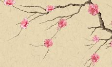 探究七七年出生的蛇女在2022年的运程：从事业、财富、爱情到家庭与健康各方面的分析与预测