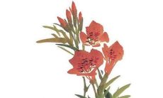 2022年作为属马人，是否适合考虑跳槽？针对属马的性格特点和优势， 适合选择哪些工作岗位？