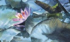 精选出众、声名远扬的足球队命名，萌翻全场