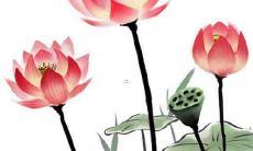 最高分名字属于姓董虎年出生的男孩