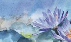 寻找一个优美的果园农庄品牌名称