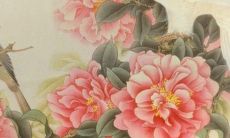 如何取一个好听的绘本馆名字：从文化背景到品牌形象，全方位探索！