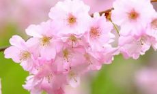 我做了一个梦，在梦中涂上了石灰，那么这个梦代表着什么意义？