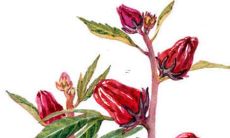 绝妙非凡的名字展示：“好听的档口名字大全”