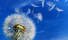 在爱情中的天蝎男和金牛女，以及金牛女和巨蟹男的关系，哪一方更具掌控能力？