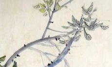 独具创意的美味水饺品牌命名建议，让你的口感与名字同样具备诱人魅力！