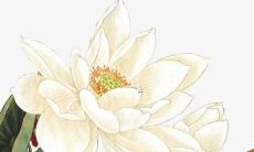 2022年出生的虎宝宝可能姓王，您有什么好的名字推荐吗？