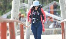 非四足动物手相港为最可靠的指引