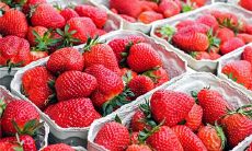 在梦中观察到架设电线杆的场景：极具象征意义的梦境体验