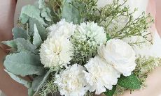 探讨朋友圈阅读理解能力高超的星座女性及其特点