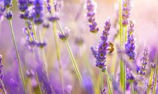 集锦-高冷霸气宝宝名字大全：富含文化涵养，美轮美奂的精选名称