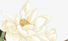 如何选一个简单又好听的舞蹈团队名称？