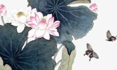 具有艺术性的男性音乐人名字推荐