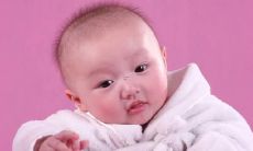 最受欢迎的泰迪犬名字：优美、有趣和独特个性的命名建议！