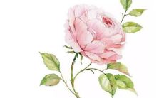 免费起名服务：按照生辰八字为电脑起取个性化名字