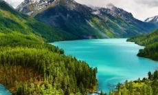 1月5日生人诞生星座是什么？最傻摩羯座何时诞生？