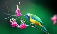 做梦时与神仙交谈有何深刻含义？