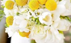 不同星座参与的十二星座聚会中的个人反应和互动