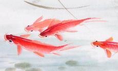 如何选择一个让人叹为观止的好听俩字情侣名字