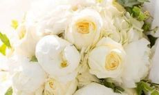 榜单排名：拥有最多帅哥美女的十二星座