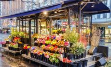 在梦中寻觅金戒指的奇幻之旅：回忆与解析