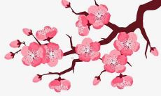 将成为一种文化探究和家庭特色表达的趋势：探索2022年起名时代的追求个性、寓意和传统价值的时代特征