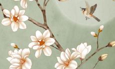 探讨虎宝宝应该取什么样的小名较为适合,以便更好地彰显虎类的特质和个性特点