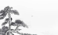 如何为2022年诞生的一只可爱的虎宝宝选择一个合适的名字?