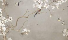 探寻姓侯的音韵美和意义美，探秘优美又有意义的侯姓名字