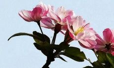 有什么特别之处？一探究竟！