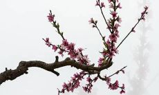 叠字起名法：如何创造好听的、富有创意的、让人印象深刻的姓名？