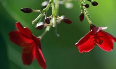 无法释怀的微信名:痛彻心扉,怀抱无尽思念的网名