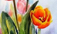 寻找具有洋气好听的石姓名字，让你的孩子成为独特而迷人的存在