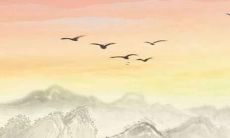 一份收录了许多好听狗狗英文名字的清单，助您为您的宠物狗起个迷人而有格调的名字